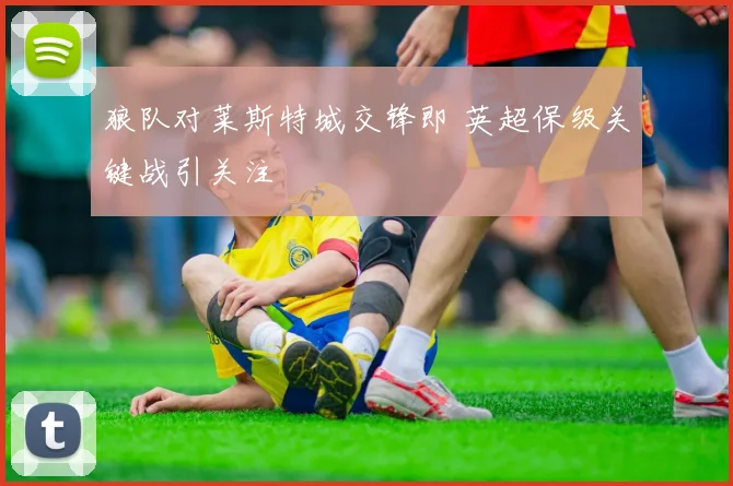 狼队对莱斯特城交锋即 英超保级关键战引关注