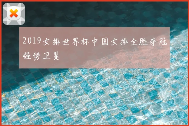 2019女排世界杯中国女排全胜夺冠强势卫冕