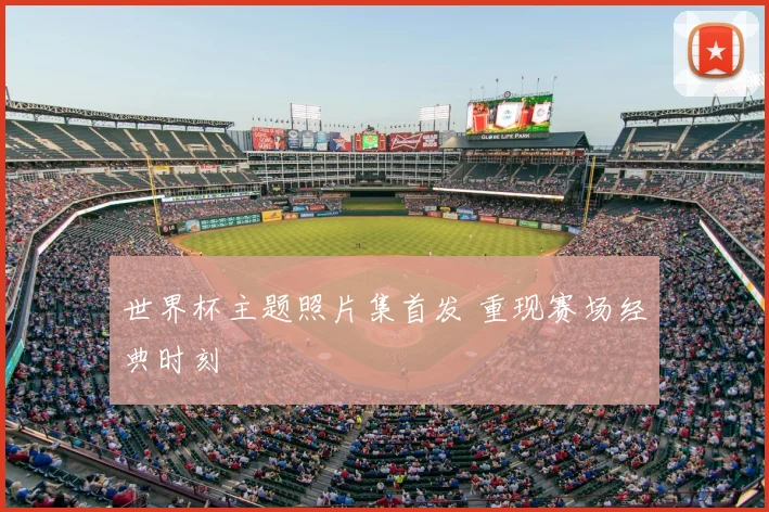 世界杯主题照片集首发 重现赛场经典时刻