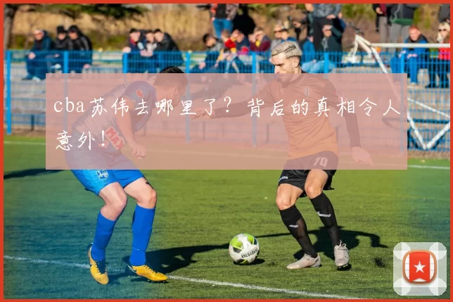 cba苏伟去哪里了？背后的真相令人意外！